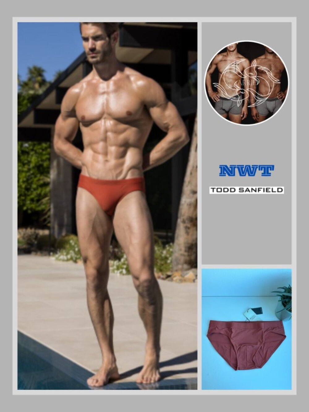 Todd Sanfield - Eco Collection Deep Swim Brief - Spiced (M)